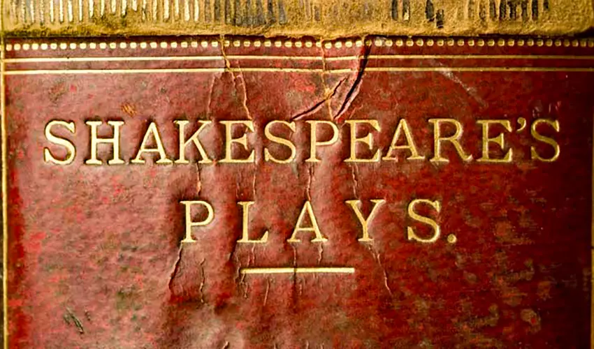 A red leatherbound book spine with the printed words: Shakespeare's Plays